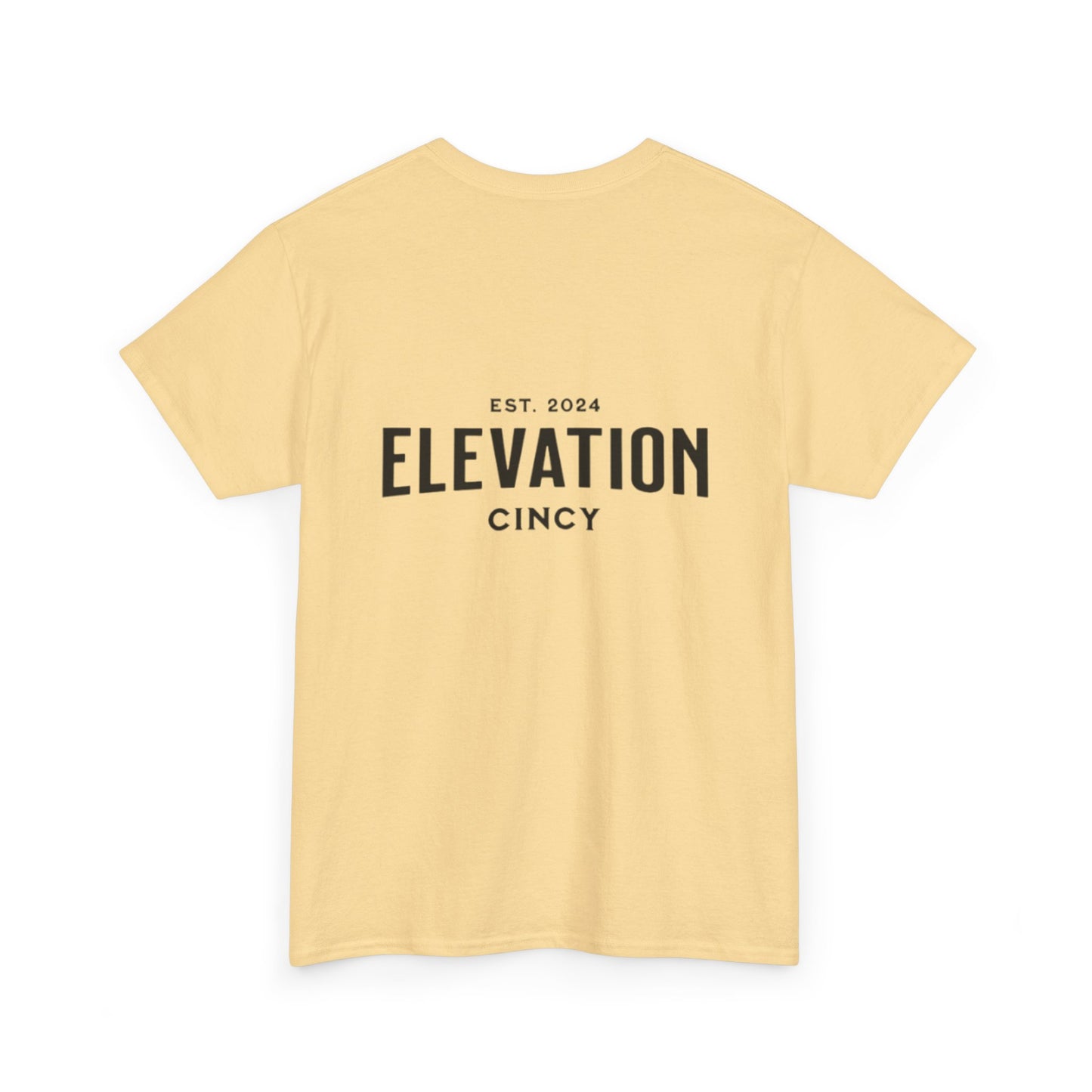 Unisex Elevation classic Cotton Tee