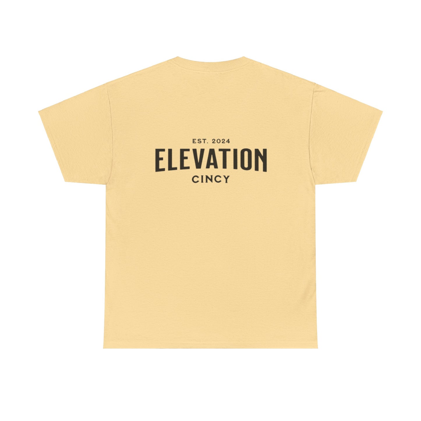 Unisex Elevation classic Cotton Tee